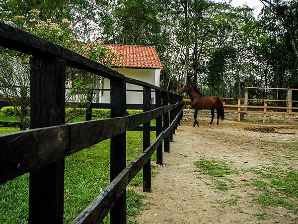 Hotel Campestre Embrujo Llanero