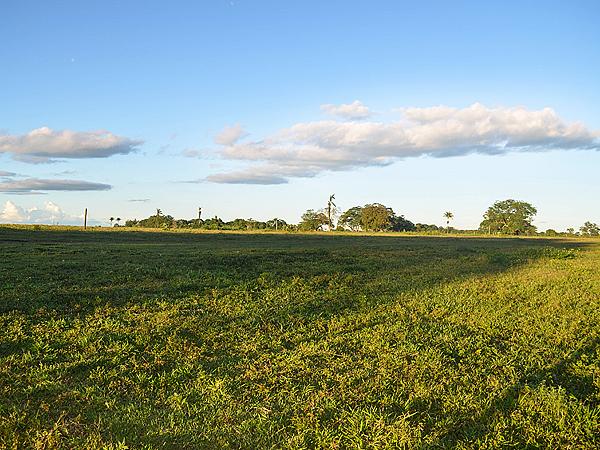 Horseback Riding In Tiuma Park