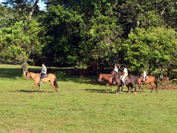 Cabalgatas En Tiuma Park