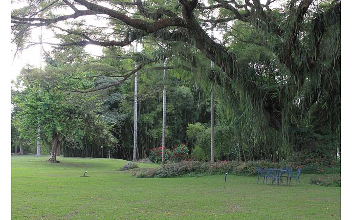 Hacienda San José   Pereira