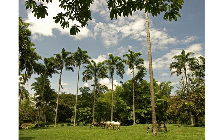 Hacienda San José   Pereira