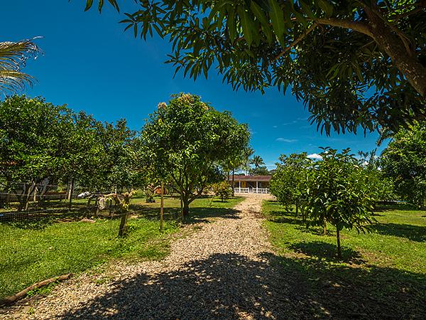 Cabañas Turísticas El Cielo