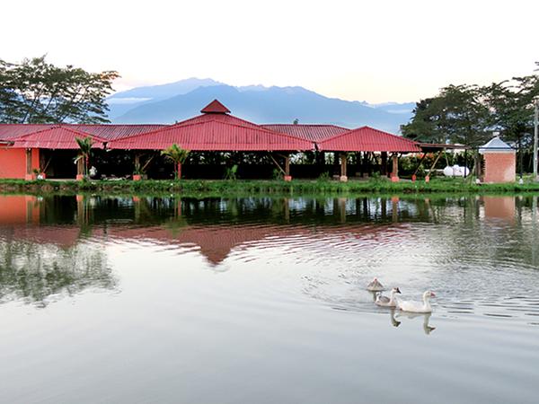 Finca La Tonga