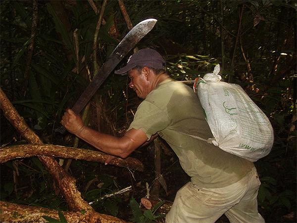 Reserva Natural Heliconia