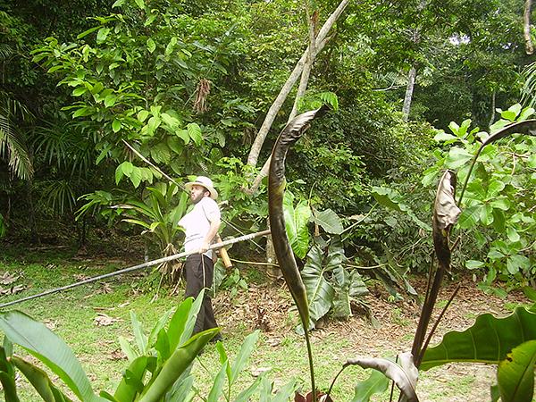 Reserva Natural Heliconia