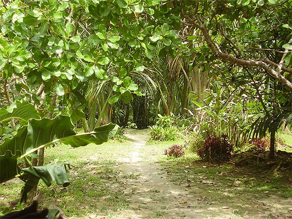 Reserva Natural Heliconia