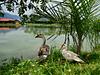 La Tonga Hotel Campestre