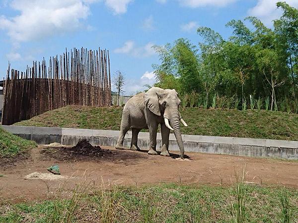 Bioparque Ukumarí