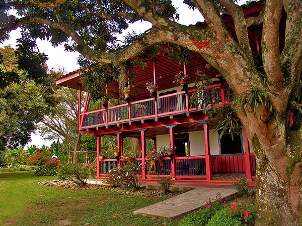 Finca Cafetera El Balso