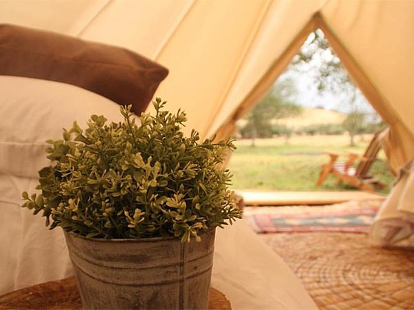 Niddo Suesca   Glamping