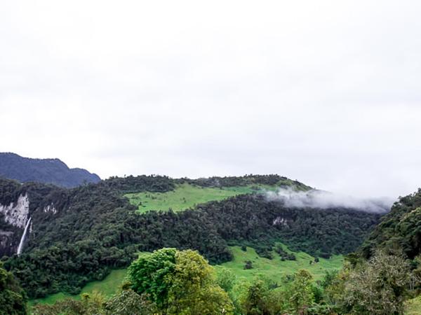 Visita Al Hato Ganadero