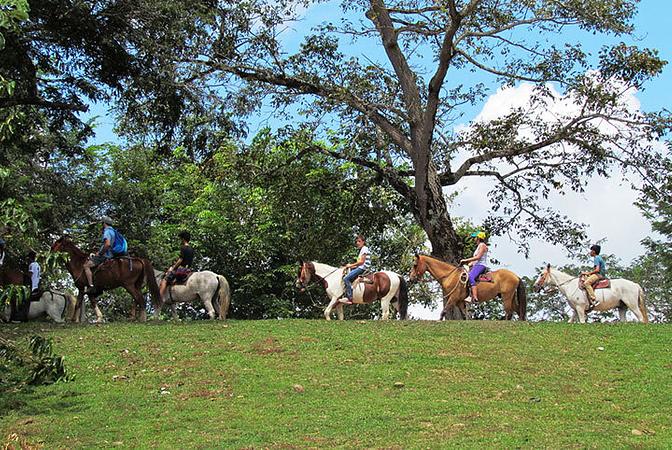 Horseback Riding In Tiuma Park