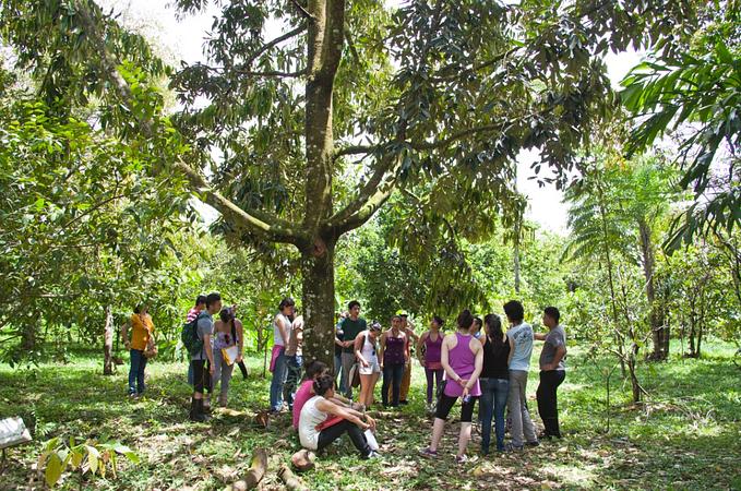 Caminatas Ecológicas En La Cosmopolitana