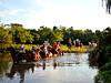 Cabalgatas en Tiuma Park