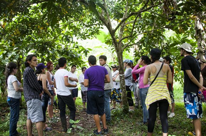 Caminatas Ecológicas En La Cosmopolitana