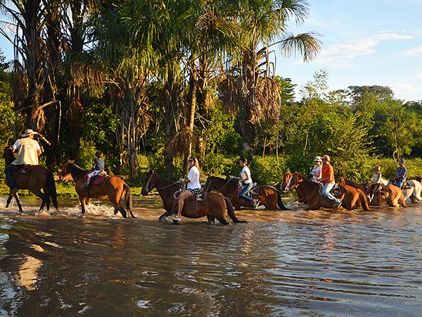 Horseback Riding In Tiuma Park