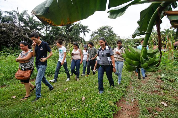 Caminatas Ecológicas En La Cosmopolitana