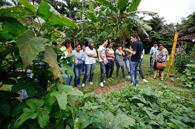 Caminatas Ecológicas En La Cosmopolitana