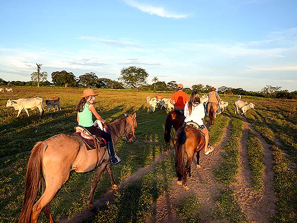 Cabalgatas En Tiuma Park