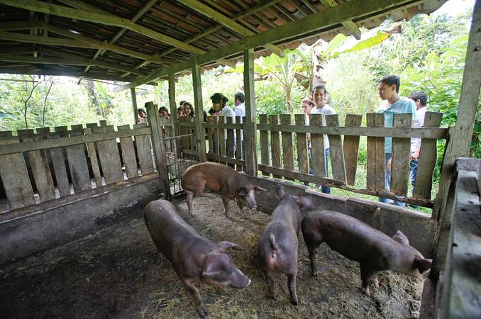 Caminatas Ecológicas En La Cosmopolitana