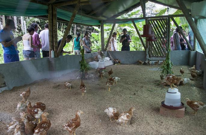 Caminatas Ecológicas En La Cosmopolitana