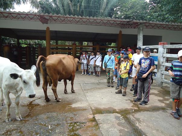 Caminatas Ecológicas En La Cosmopolitana