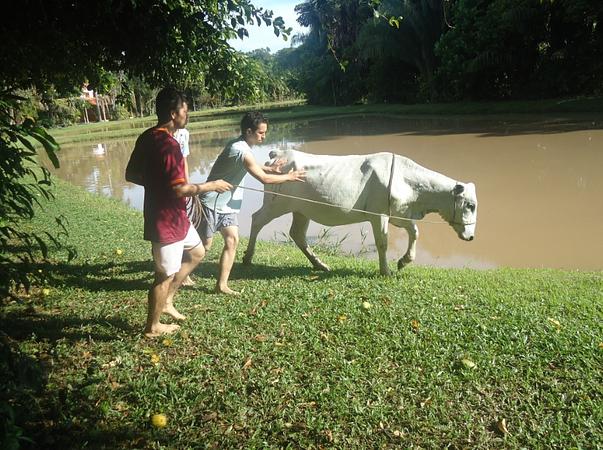 Caminatas Ecológicas En La Cosmopolitana