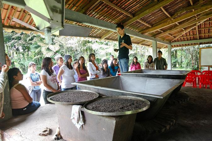 Caminatas Ecológicas En La Cosmopolitana