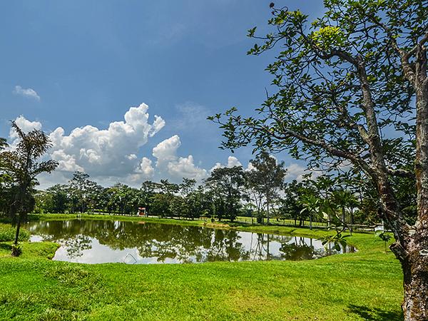 Finca Los Bejucos