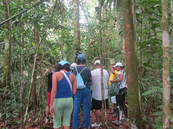 Eco Lodge Playa Alegre