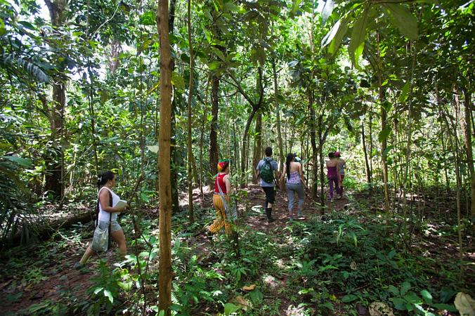 Caminatas Ecológicas En La Cosmopolitana