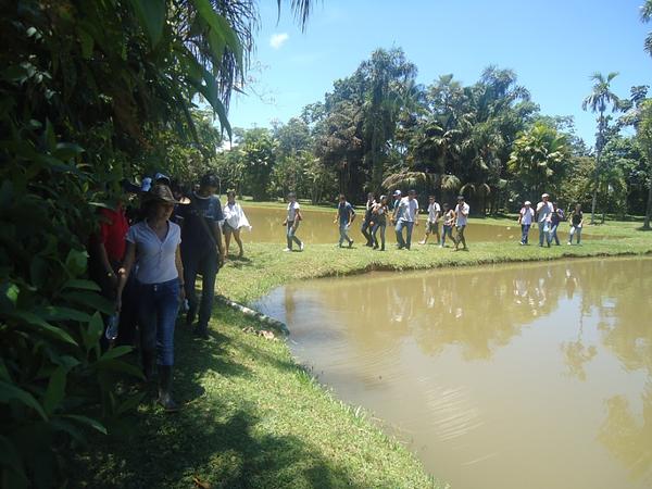 Caminatas Ecológicas En La Cosmopolitana