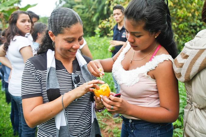 Caminatas Ecológicas En La Cosmopolitana