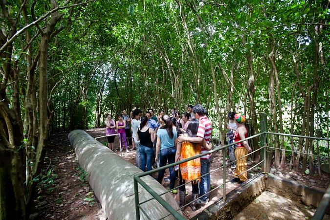 Caminatas Ecológicas En La Cosmopolitana