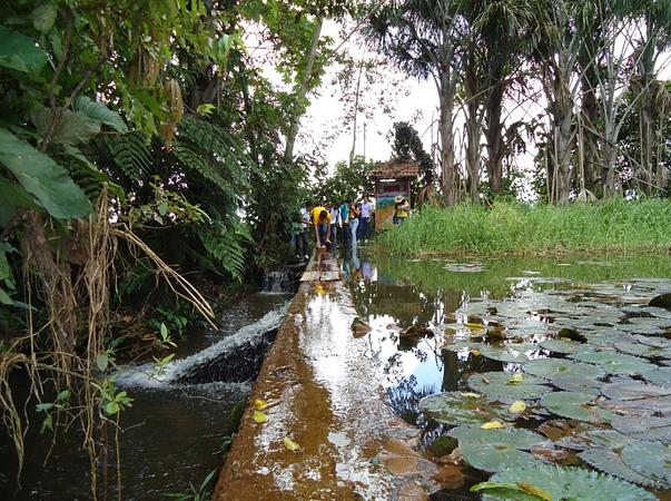 Caminatas Ecológicas En La Cosmopolitana