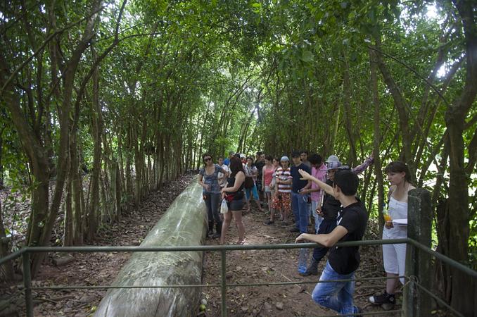 Caminatas Ecológicas En La Cosmopolitana