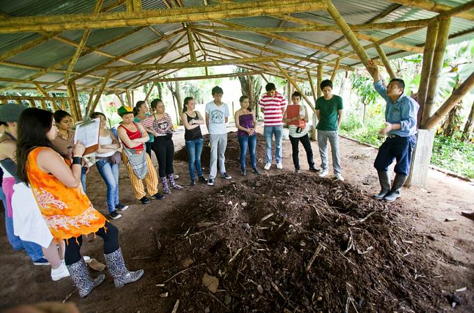 Caminatas Ecológicas En La Cosmopolitana