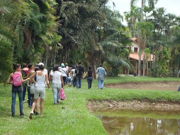 Caminatas Ecológicas En La Cosmopolitana