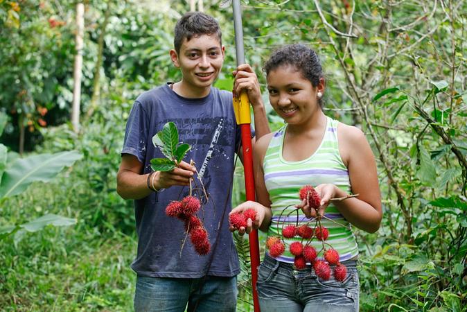 Caminatas Ecológicas En La Cosmopolitana