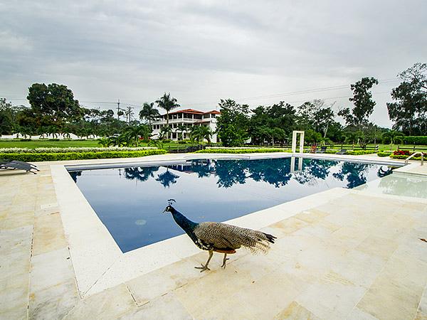 Hotel Campestre Embrujo Llanero