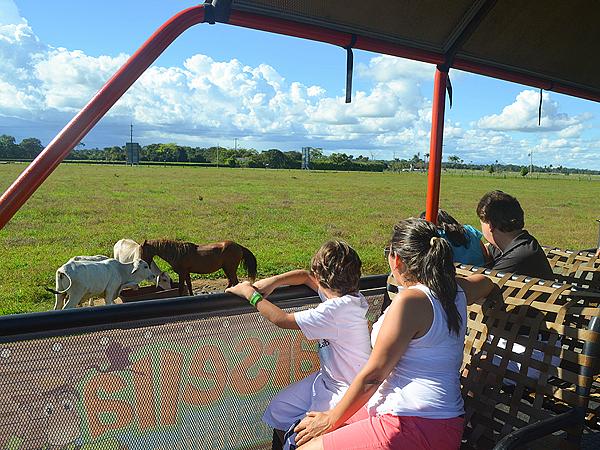 Pasaporte Aldea Mágica (Buggy Cerrero + Tiuma Ranch)