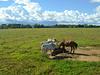 Pasaporte Aldea Mágica (Buggy Cerrero + Tiuma Ranch)