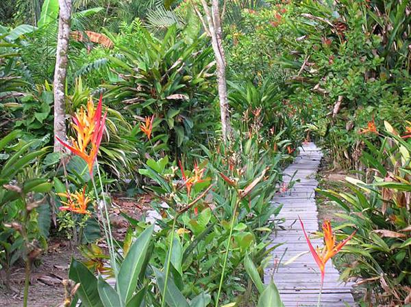 Reserva Natural Heliconia