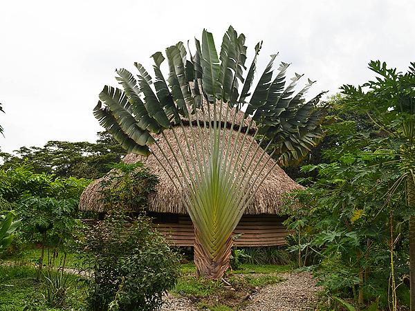 Hotel Cosmogénesis Eco Lodge