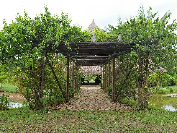 Hotel Cosmogénesis Eco Lodge