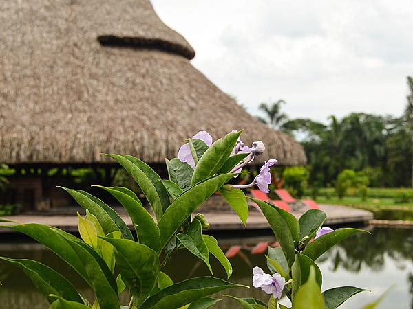 Hotel Cosmogénesis Eco Lodge