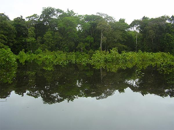 Reserva Natural Heliconia